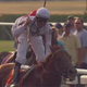 Illustration for article titled Drosselmeyer Wins The Belmont Stakes